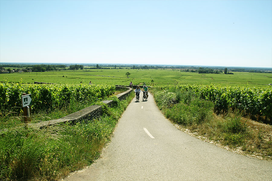 velo-bourgogne2