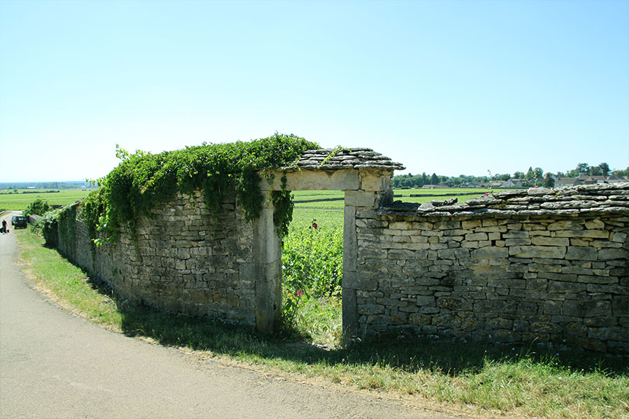 vignes-pommard