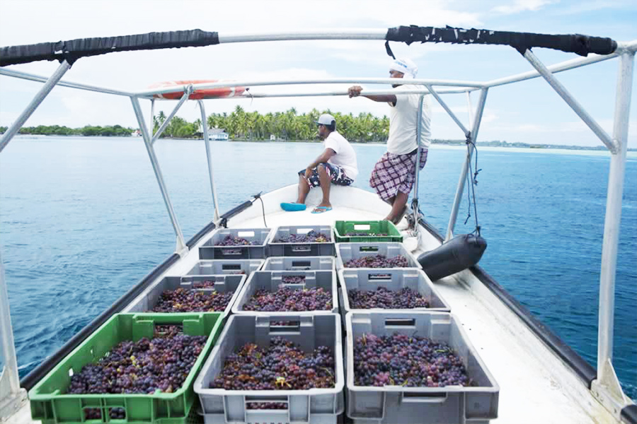 raisin sur bateau tahiti