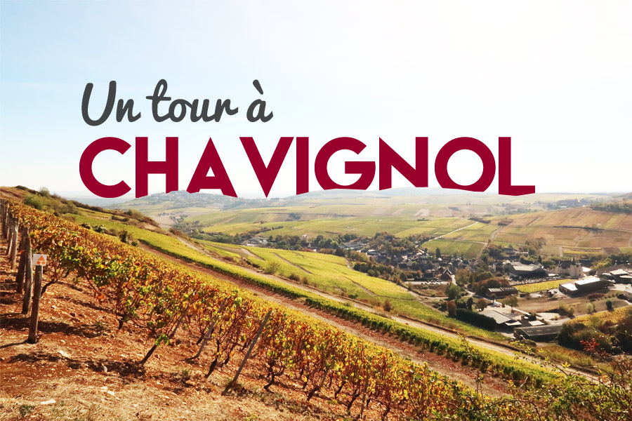 Chavignol domaine Bourgeois